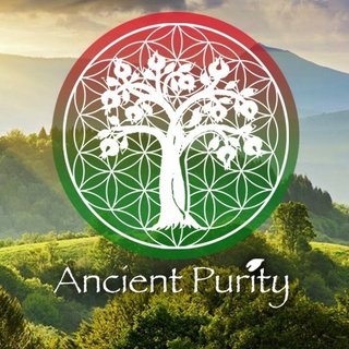 Ancient Purity Promo Codes 