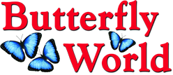 Butterfly World Promo Codes 