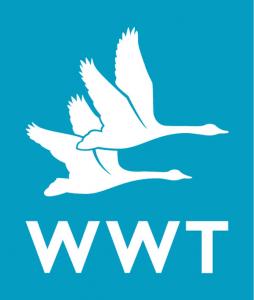 wwt.org.uk