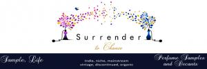 Surrender To Chance Promo Codes 